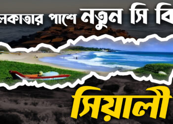 নিরিবিলি পরিবেশে চারিদিকে লাল কাঁকড়ার আনাগোনা।