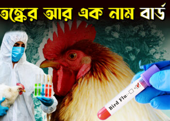 ফের আতঙ্ক বাড়াচ্ছে বার্ড ফ্লু