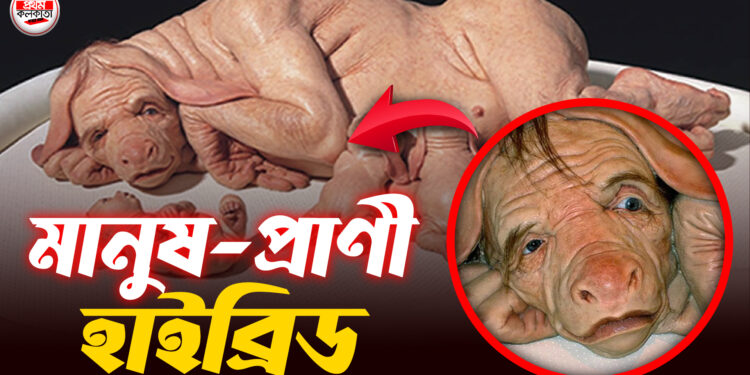 মানুষ-প্রাণী হাইব্রিড তৈরি করছে জাপান | Science | Prothom Kolkata