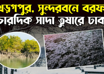 সাদা তুষারে ঢাকা খড়গপুর; আসল রহস্য কি | Prothom Kolkata
