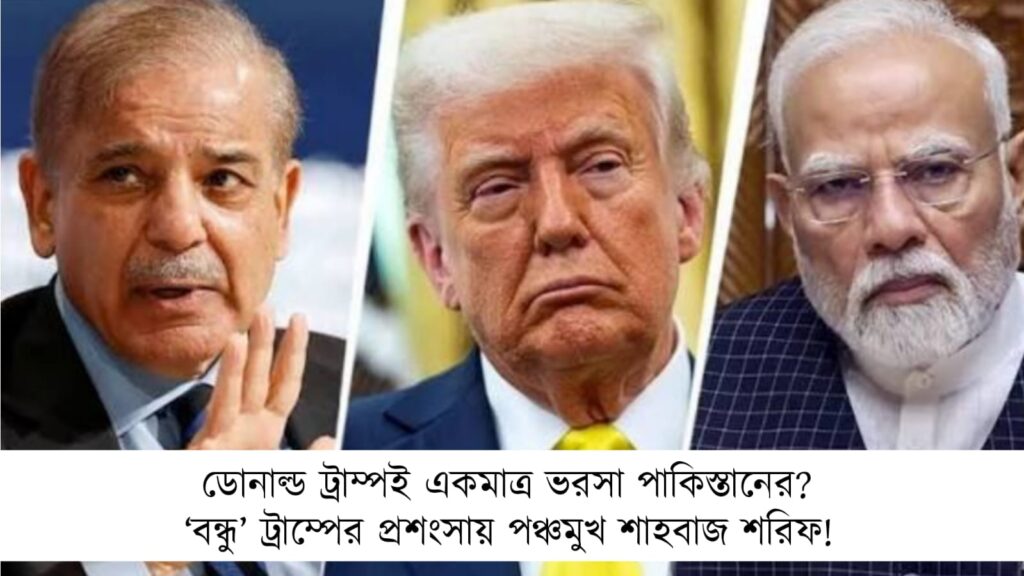 ডোনাল্ড ট্রাম্পই একমাত্র ভরসা পাকিস্তানের? ‘বন্ধু’ ট্রাম্পের প্রশংসায় পঞ্চমুখ শাহবাজ শরিফ!