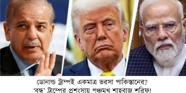 ডোনাল্ড ট্রাম্পই একমাত্র ভরসা পাকিস্তানের? ‘বন্ধু’ ট্রাম্পের প্রশংসায় পঞ্চমুখ শাহবাজ শরিফ!