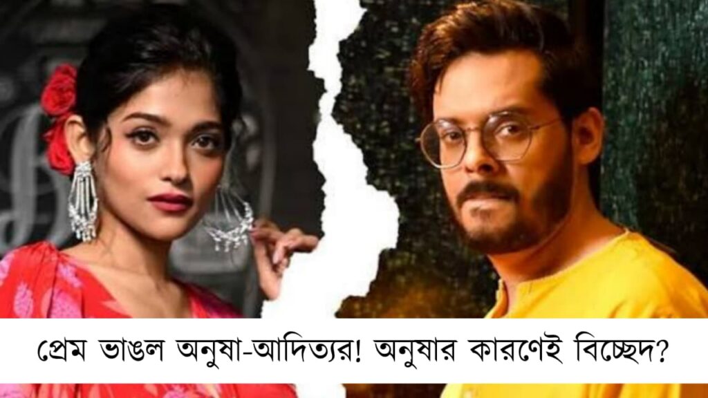 প্রেম ভাঙল অনুষা-আদিত্যর! অনুষার কারণেই বিচ্ছেদ?