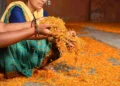 Puja Flower Recycling initiative in West Bengal to make eco-friendly incense sticks and abir from discarded temple flowers
