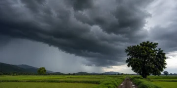 August Weather Update India showing dark monsoon clouds over agricultural fields with rainfall forecast graphics highlighting below-normal August rainfall due to El Niño conditions.