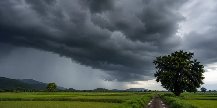 August Weather Update India showing dark monsoon clouds over agricultural fields with rainfall forecast graphics highlighting below-normal August rainfall due to El Niño conditions.