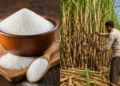 Sugar Stock Limits in India as sugar prices reach record high ahead of festive season