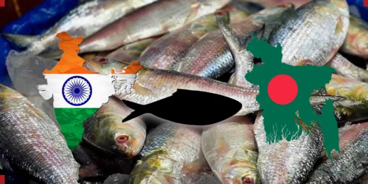 Ranna Puja Hilsa shortage as prices rise sharply in the market