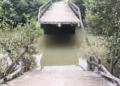 Kaloo River Bridge Collapse in Patharpratima, South 24 Parganas