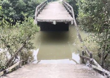 Kaloo River Bridge Collapse in Patharpratima, South 24 Parganas