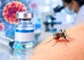 Dengue Vaccine India may be available next year after successful clinical trials
