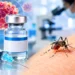 Dengue Vaccine India may be available next year after successful clinical trials
